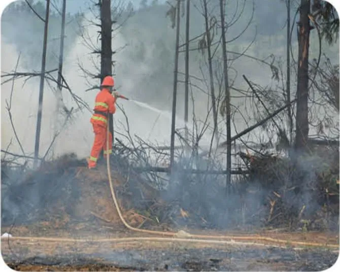 Mobile Firefighting Pumps for Sale – Buyer’s Guide