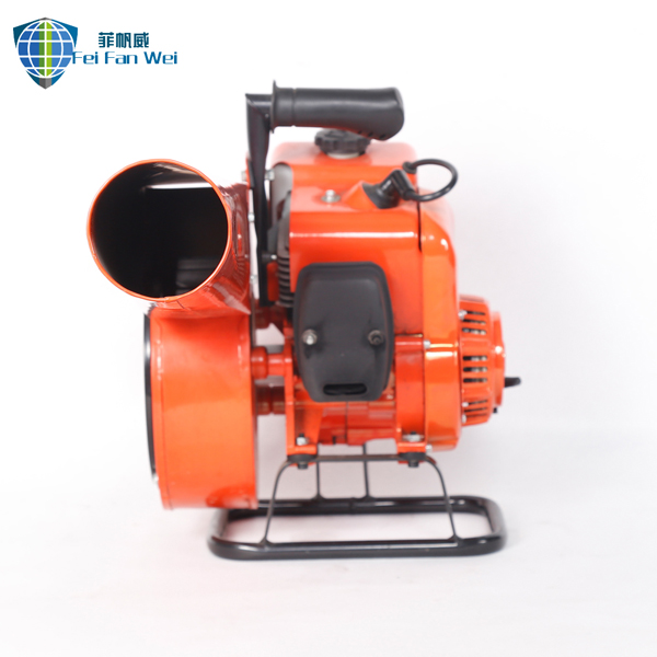 Pneumatic extinguisher