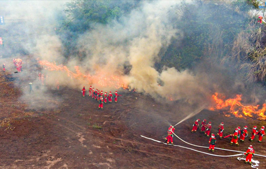 Fire-fighting drills on forest fire prevention were carried out in many places